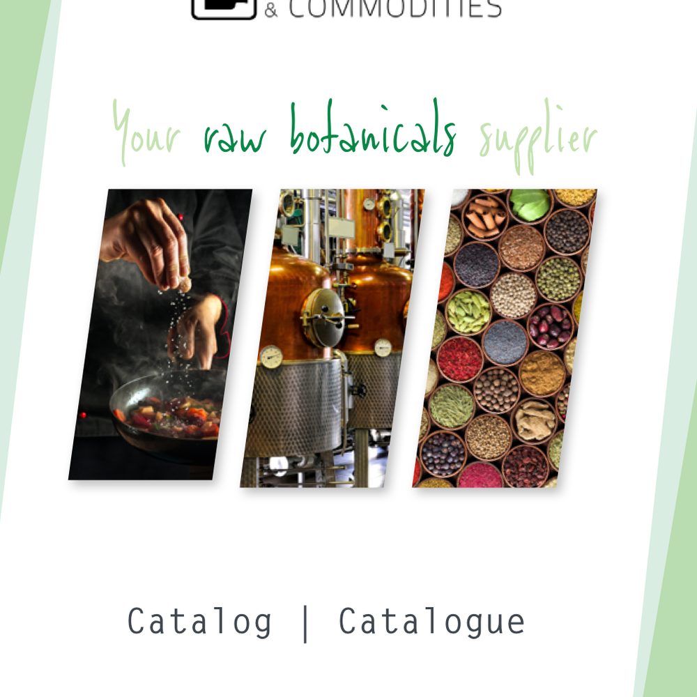 Catalogue B&C × Medaro : catalogue, édition et webdesign