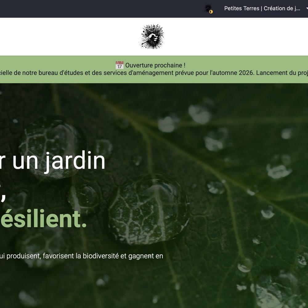 Petites Terres : construire une activité environnementale de zéro, positionnement, identité, offre, site et Odoo